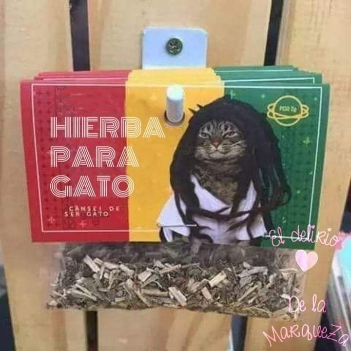 �������, ���������� � �������� ����
