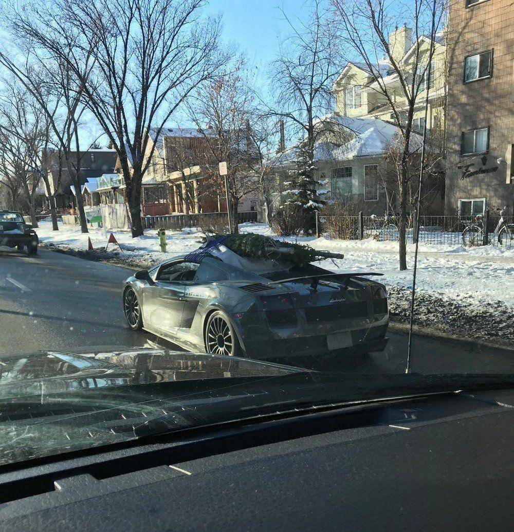 �������, ���������� � �������� ����