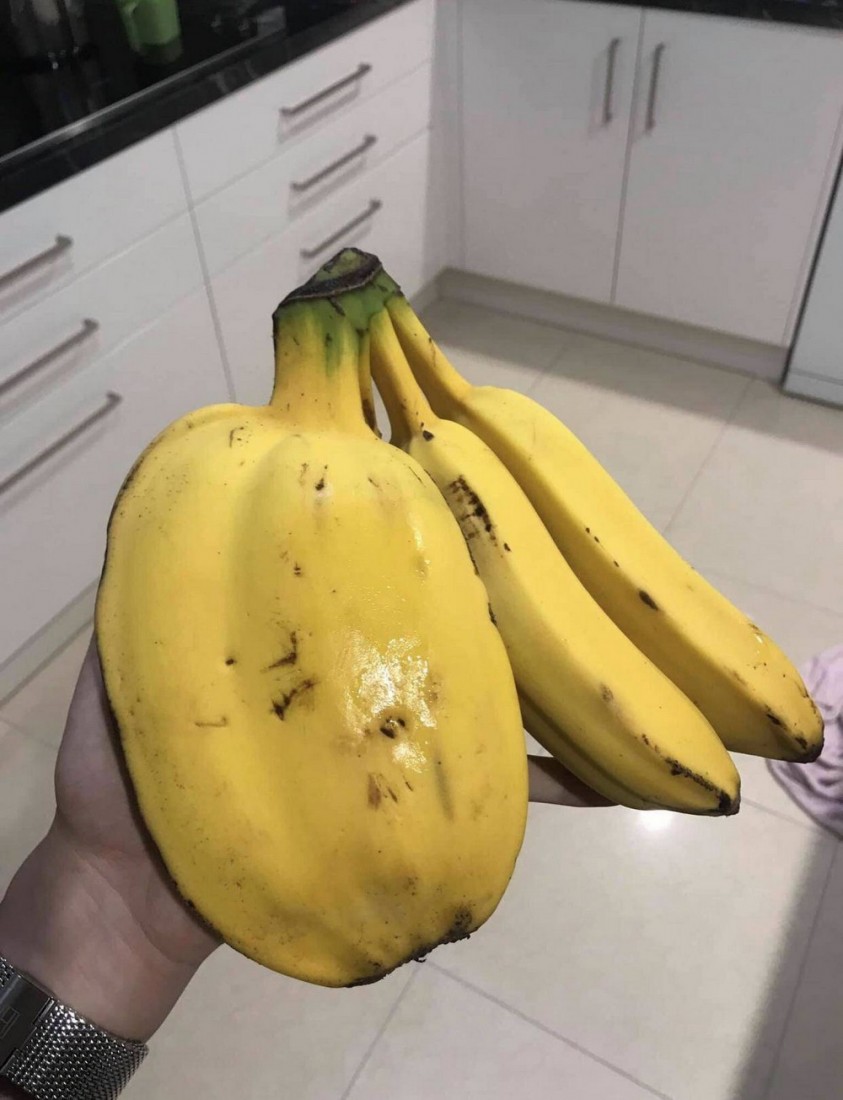 �������, ���������� � �������� ����