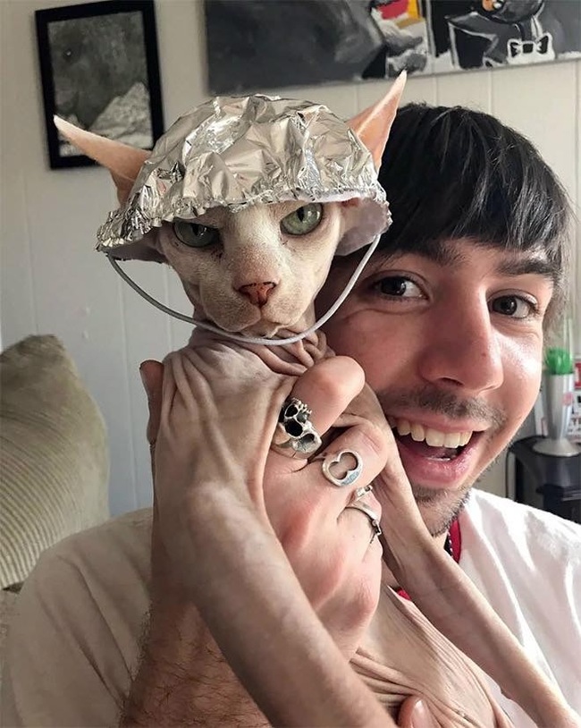 �������, ���������� � �������� ����