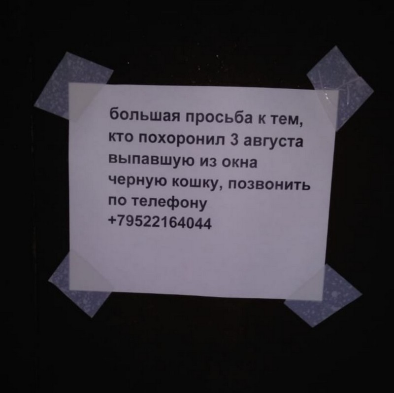 �������, ���������� � �������� ����