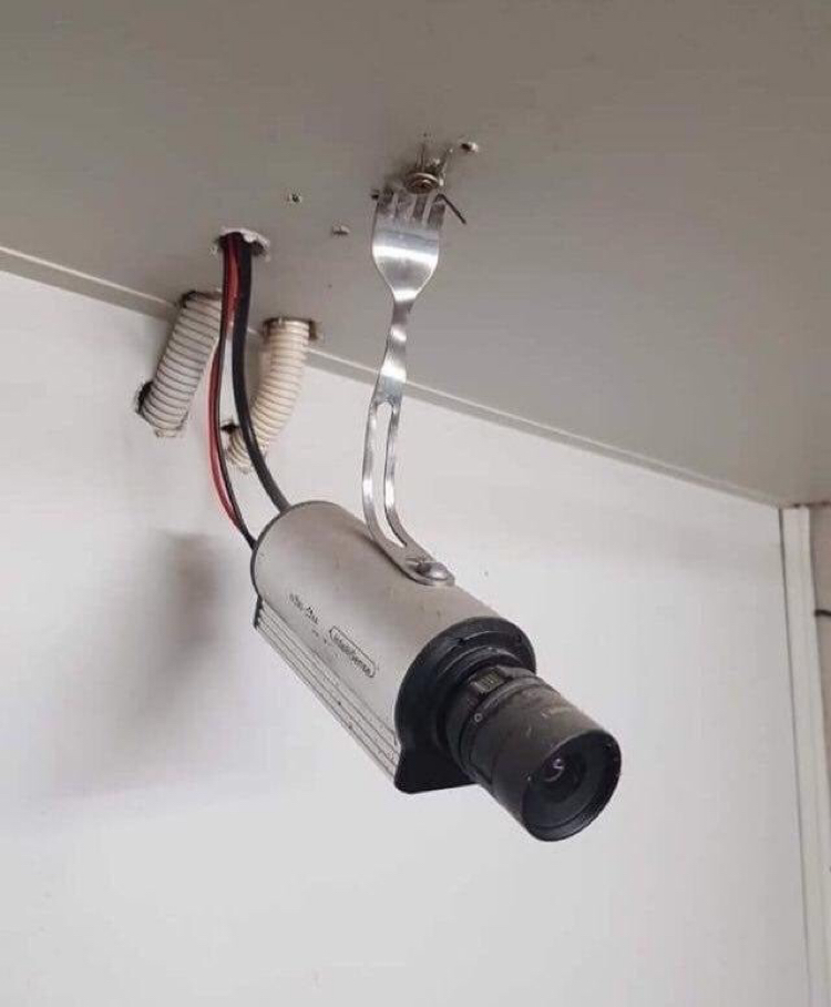 �������, ���������� � �������� ����