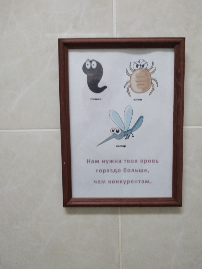 �������, ���������� � �������� ����