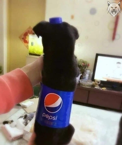 �������, ���������� � �������� ����